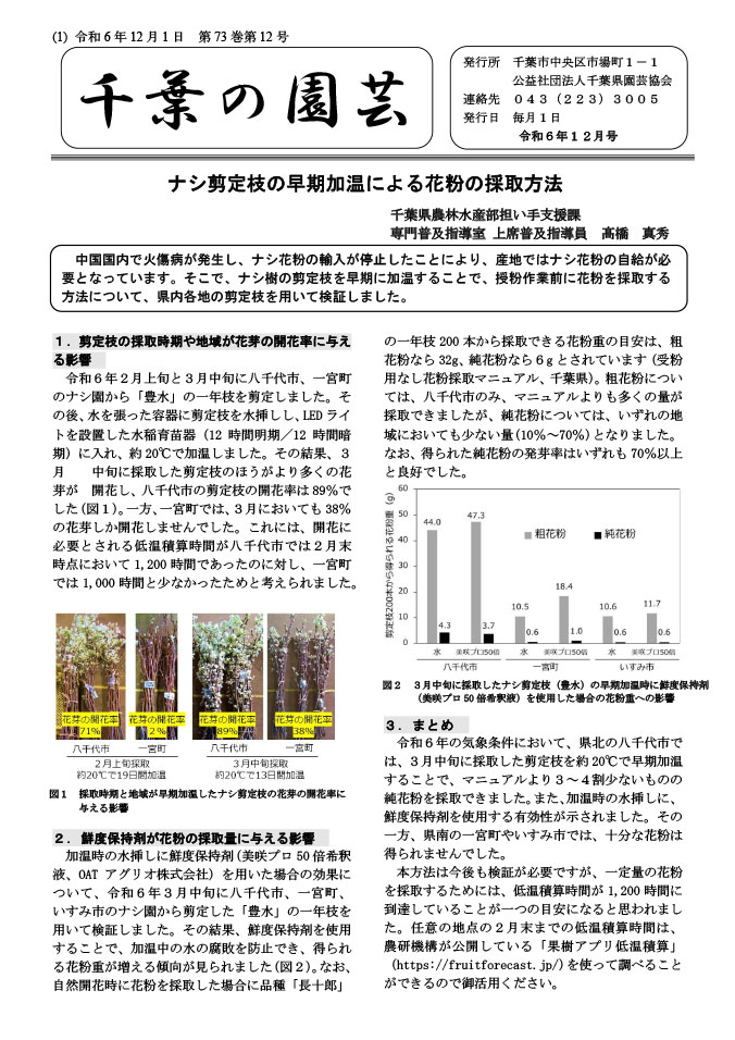 広報誌「千葉の園芸」令和6年12月号